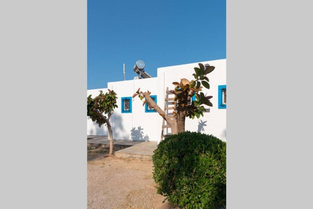 Georgia'S Studio Zakros Exterior photo