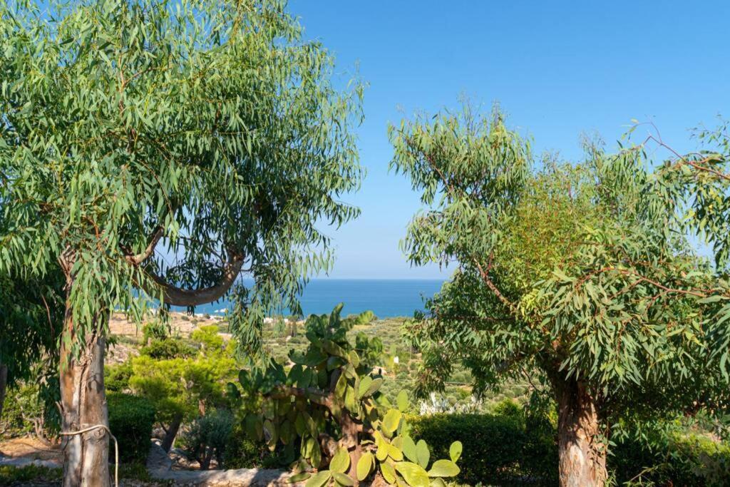 Georgia'S Studio Zakros Exterior photo